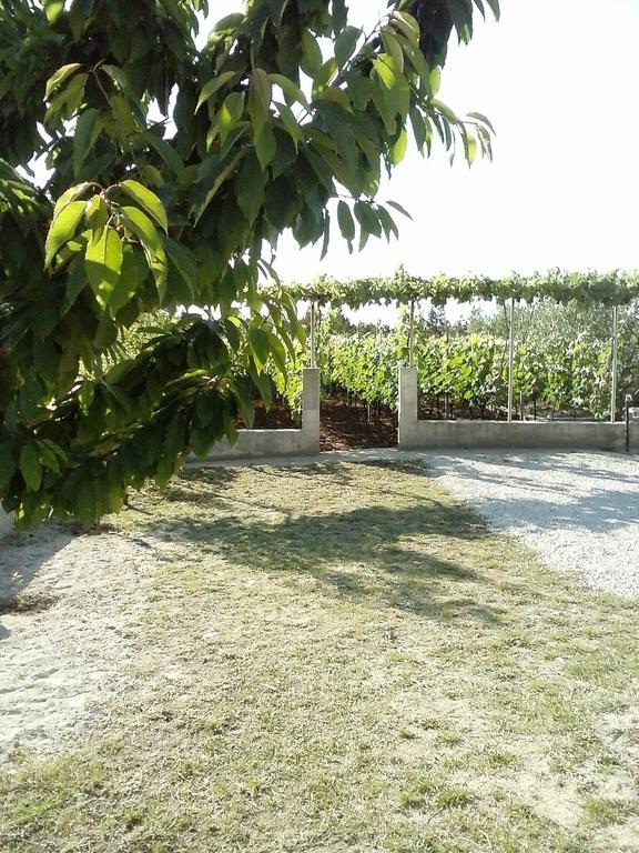 Apartmani Marijana Lozovac Bilik gambar