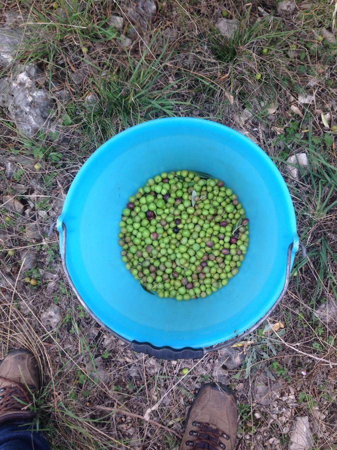 Apartmani Marijana Lozovac Luaran gambar