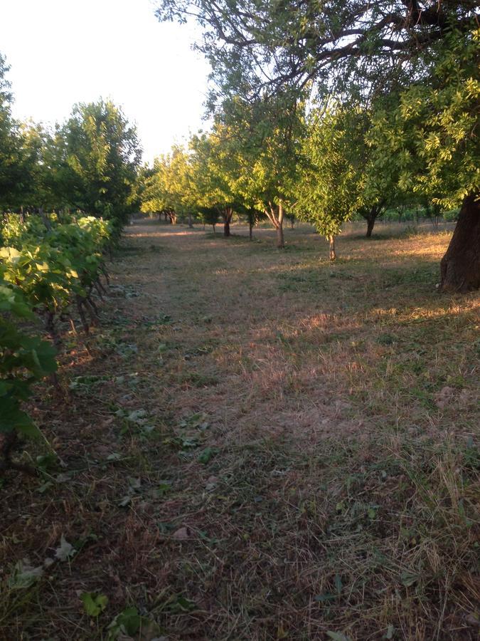 Apartmani Marijana Lozovac Luaran gambar